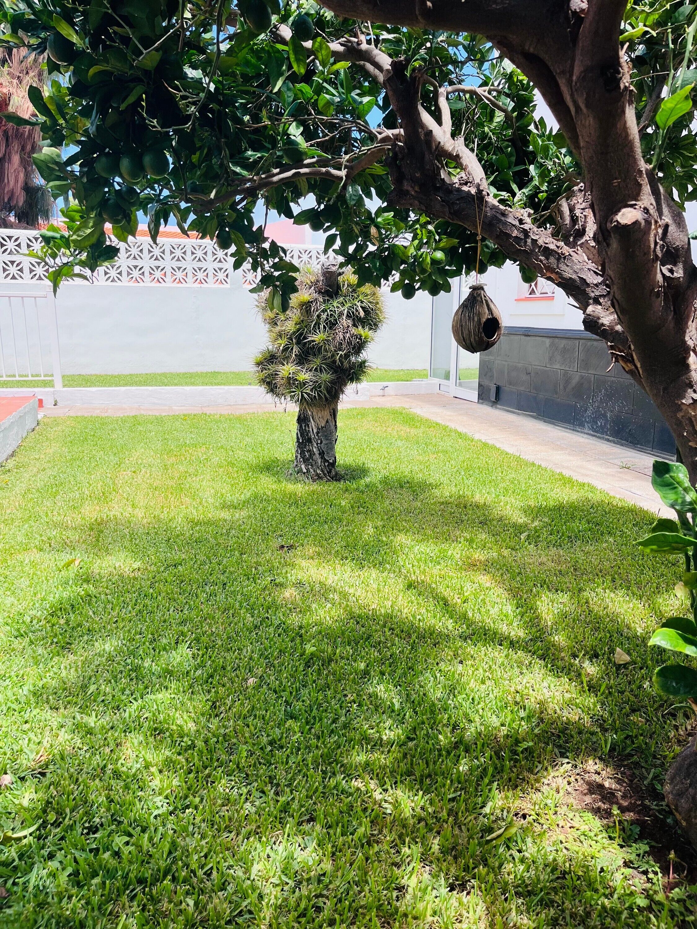 Terrein van de accommodatie