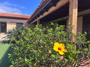 Exterior detail - Casa Punta del Viento Oceanfront with Sea Views, Private Terrace & Wi-Fi (El Pris)