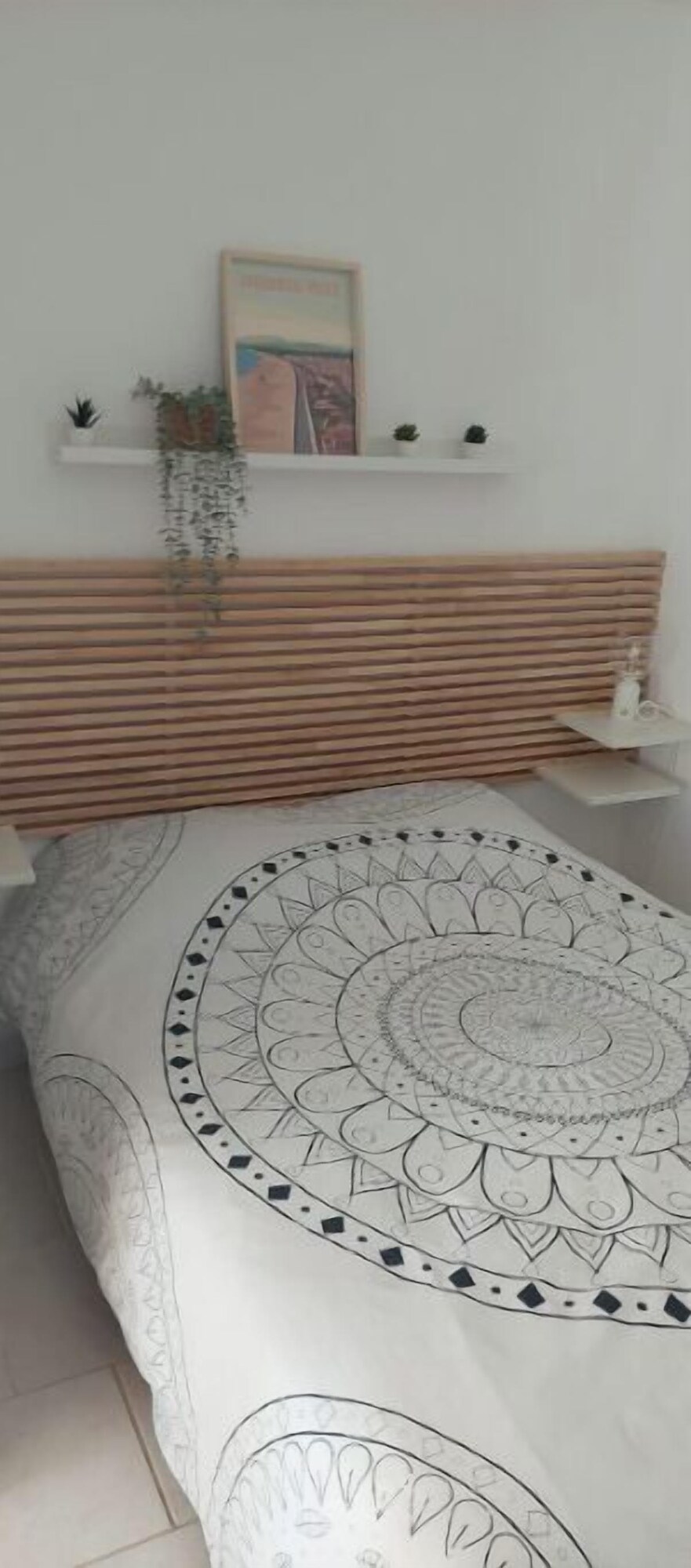 Imagen de perfil del propietario o de la propietaria