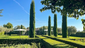 Un jardín cuidado con árboles altos y delgados, y setos perfectamente recortados.
