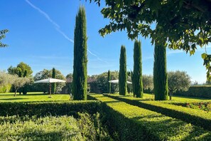 Un jardín cuidado con árboles altos y delgados, y setos perfectamente recortados.
