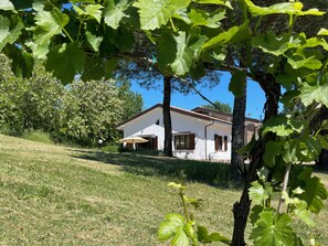 Ein Haus mit geneigtem Dach, einer überdachten Terrasse und einem Rasen.