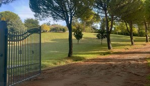 Eine von einer Mauer umgebete Anlage mit einem Feldweg, der zu einer grünen Fläche mit Bäumen führt.