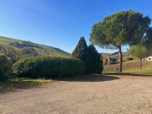 A gravel driveway leading to a building with a large tree and a hedge in the foreground. - Dolce Collina Holiday Home,
Sunset terrace & vineyard views, near Bologna/Imola (Dozza)