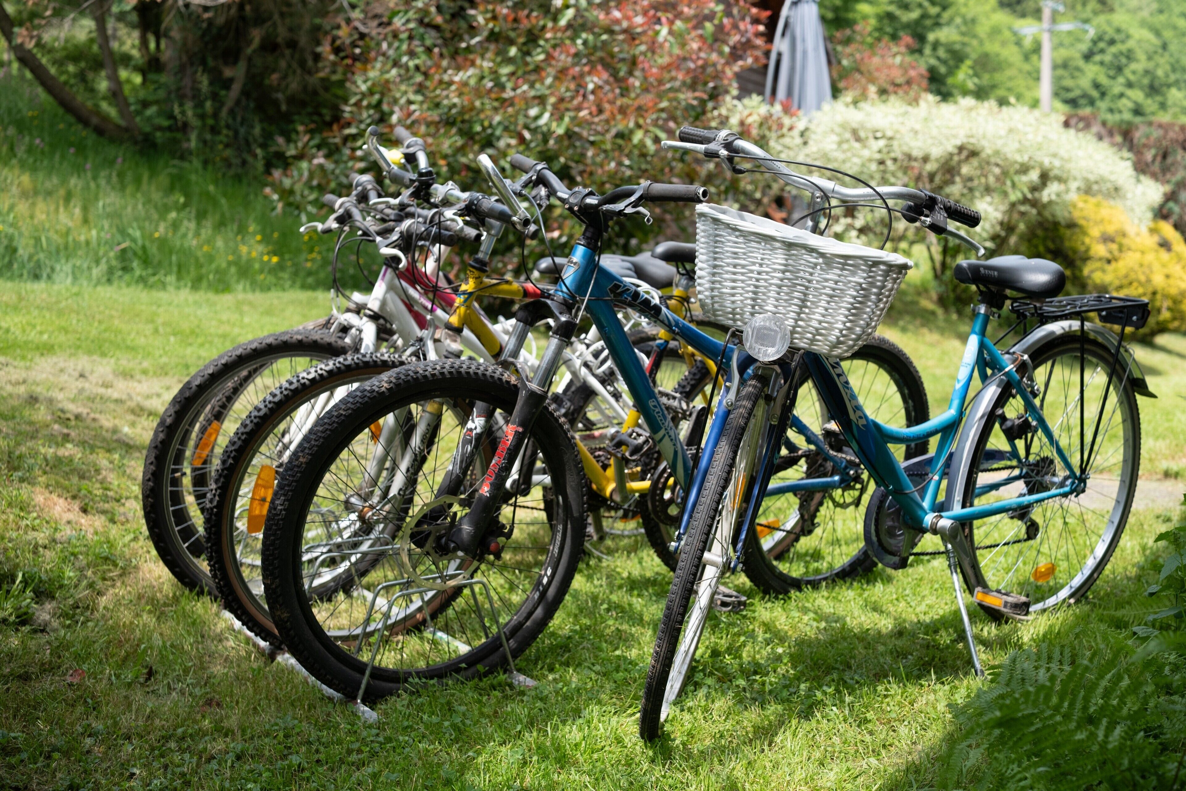 Bicicletas estacionadas sobre césped, una con una cesta.