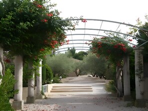Property grounds - Charming Mazet in Secure Residence with Pool Near Alpilles and Town Center (Saint-Rémy-de-Provence)
