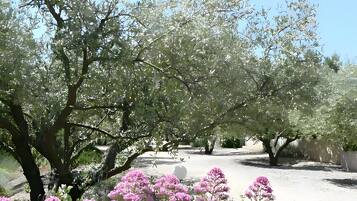 Terrein van de accommodatie