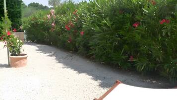 Terrein van de accommodatie