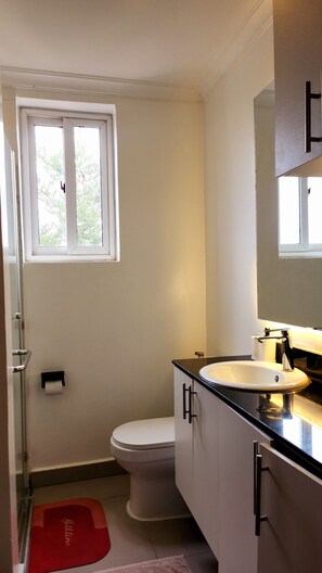 Chuveiro, toalhas de banho, sabonete, papel higiênico