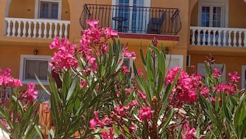 Detall de l'exterior