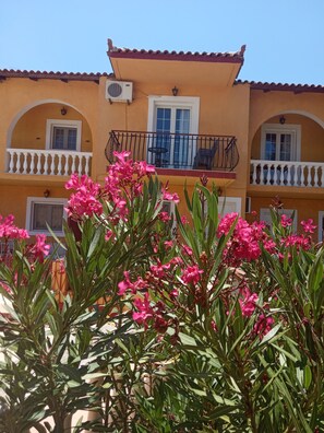 Detalle del exterior