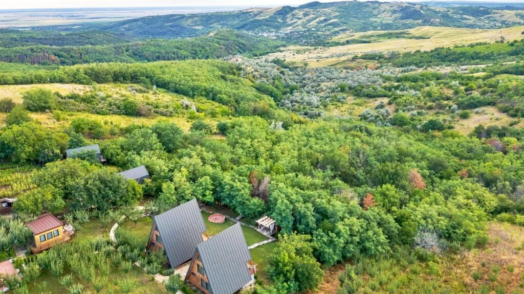 Paisaje rural con una casa rodeada de vegetación densa y colinas ondulantes al fondo.