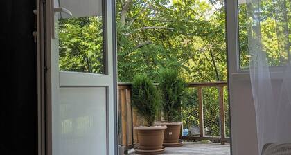 The Leafy Terrace Flat