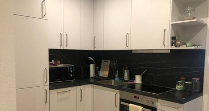 Cozy 1-bedroom dublex-apartment in pleasant Stuttgart with AC