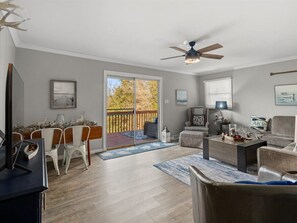 Smart TV, fireplace, books