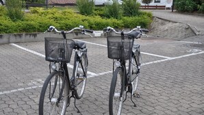 Deux vélos sont garés côte à côte, avec des paniers fixés à l’avant, sur une surface pavée, avec de la verdure en arrière-plan.