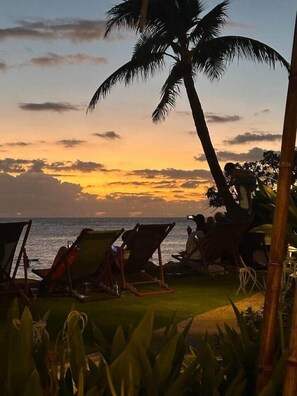Property grounds - Sunny Savings Starts Here!  Turtle Bay's Kuilima Estates West #104 (Kahuku)