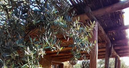 Les Jardins de Taja - Tent TAZIRI 1 - 2/3 persons