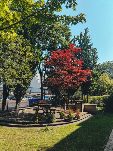 4-bedroom bed & breakfast in peaceful Toronto