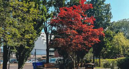 4-bedroom bed & breakfast in peaceful Toronto