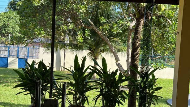 A covered outdoor area with potted plants and a view of a grassy area and trees. - Spacious house with garden and 3 suites in Novo Airão. (Novo Airão)