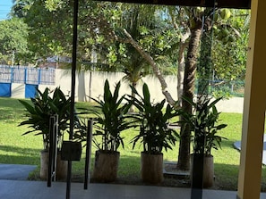 A covered outdoor area with potted plants and a view of a grassy area and trees.