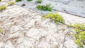 Ein Strandgrundstück mit mehreren Balkonen, einer überdachten Terrasse und einem Sandstrand im Vordergrund.