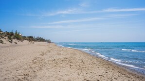 Uma praia com céu claro, areal arenoso e edifícios ao longe.
