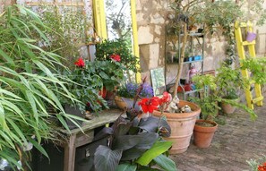 Exterior - Les Petites Mirabelles  (Noyers-sur-Cher)