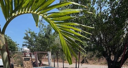 Boutique Cabana | Pool + Beach Escape