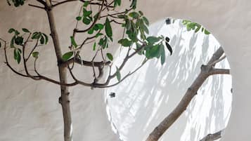 A room with a tree branch, a circular mirror, a wicker chair, and a unique white wall design.