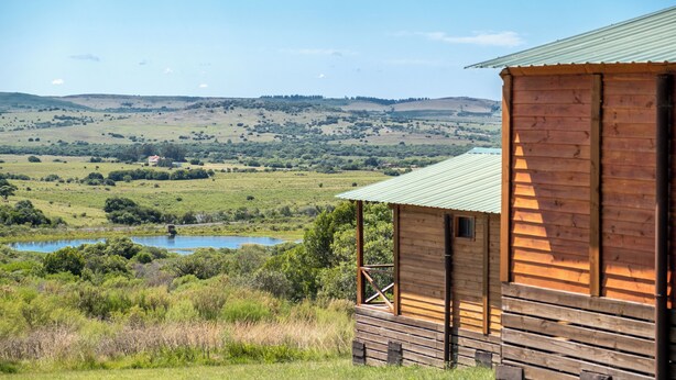 A wooden cabin with a metal roof, surrounded by a lush green landscape and a body of water.