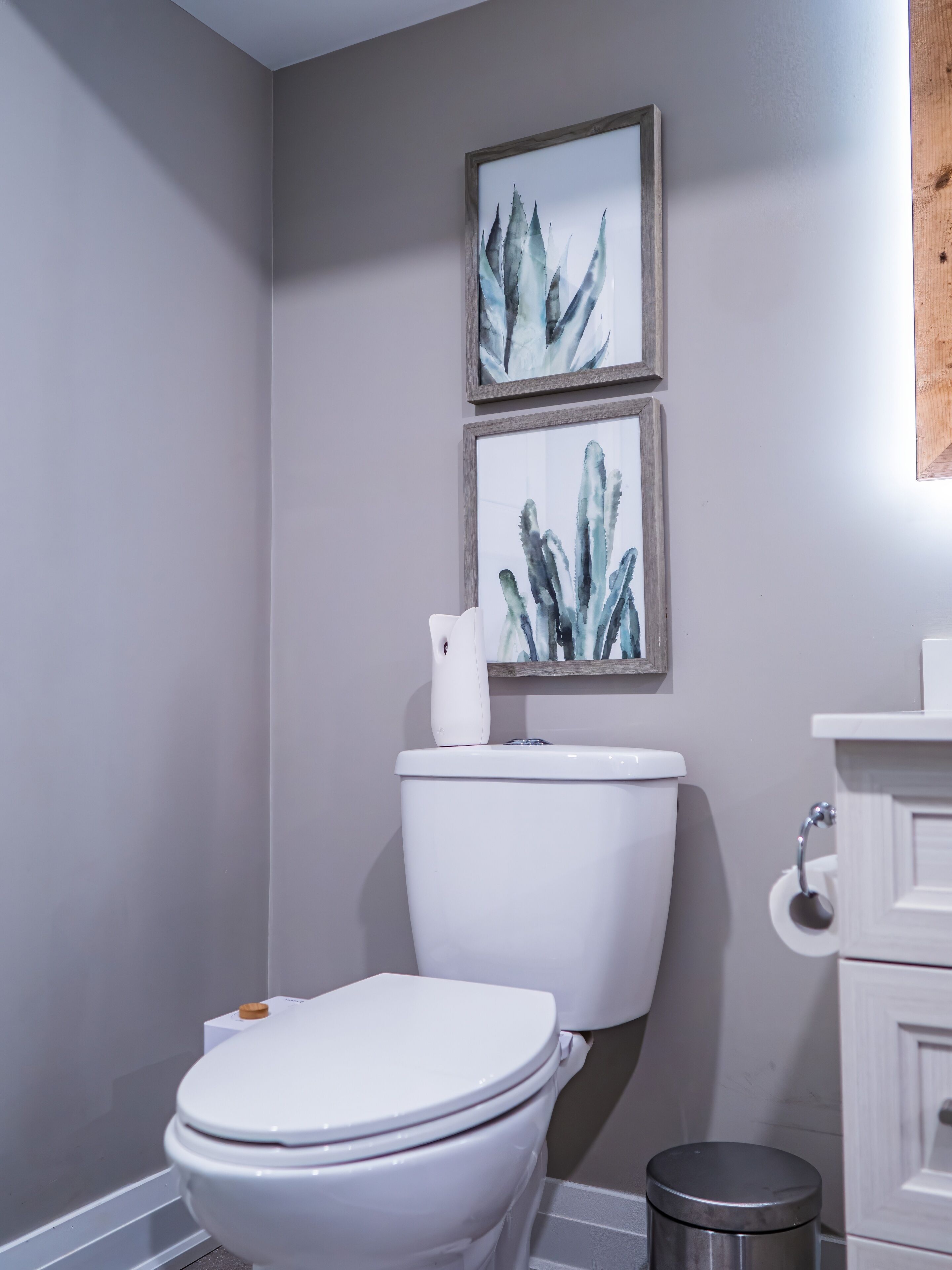 A modern bathroom with a white toilet, a trash bin, and two framed botanical prints on the wall.