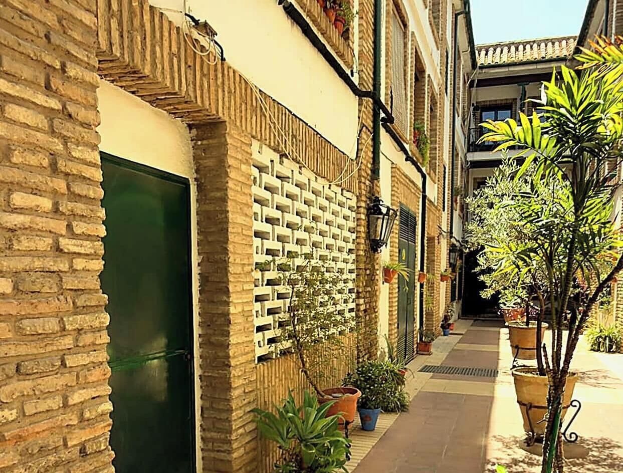 A narrow alleyway with a brick wall on one side and a building with a green door. There are potted plants along the path.