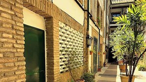 A narrow alleyway with a brick wall on one side and a building with a green door. There are potted plants along the path. - Apartment in Casco Historico (Córdoba)