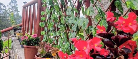 Plantas en macetas en un balcón con pared de piedra y barandilla de madera.