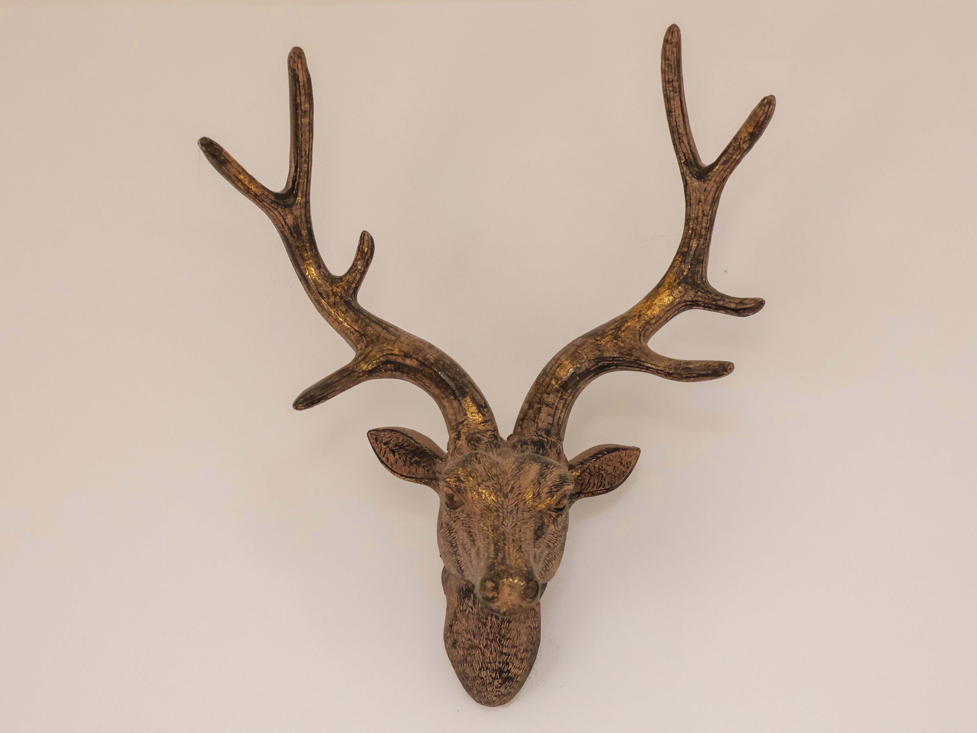 A deer head mounted on a wall.