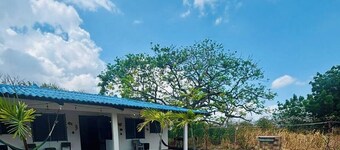 Rustic Cozy Cabana in Panama | Beach Escape