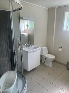 Shower, hair dryer, towels, toilet paper - Leilighet i solfylte Mandal (Agder)