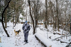 Área da propriedade