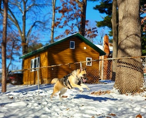 A wooden cabin with a green roof, surrounded by snow-covered ground and leafless trees.