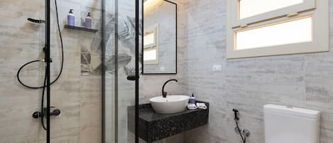 A modern bathroom with a glass shower enclosure, a white sink, and a toilet.