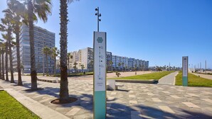 Un camino pavimentado con palmeras, un alto cartel informativo y edificios modernos al fondo.