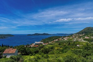 Miscellaneous - Romantic Our Dream Apartment near Dubrovnik in Peaceful Villa leona (Orašac)