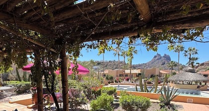 Cozy 1-bedroom condo in marvelous San Carlos with AC