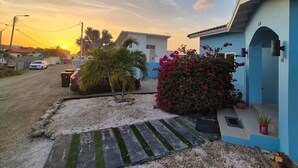 Zona residencial con casas, camino de grava y una palmera.