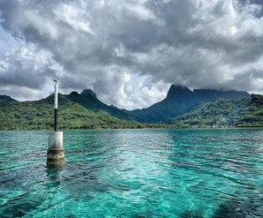 Miscellaneous - Moorea Surf BED AND Breakfast Hostel (Moorea-Maiao)