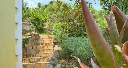 Family Apartment Sofija - Three Bedroom Apartment with Terrace