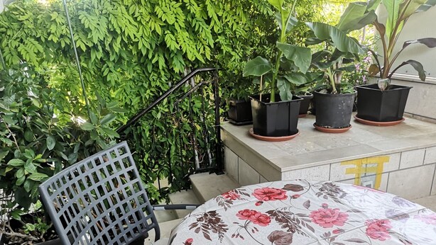 Un'area patio con una sedia in metallo, una tovaglia floreale e piante in vaso.
