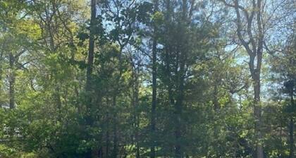 Tranquil 3-bedroom Cape Cottage with Central Air in charming East Falmouth